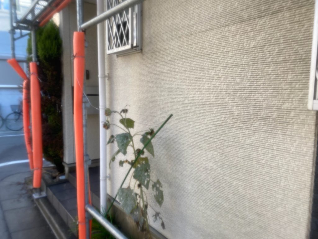 大田区F様邸外壁・屋根塗装工事のサムネイル画像3